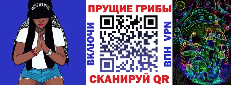 мега как зайти  Щёкино  Псилоцибиновые грибы MAGIC MUSHROOMS 